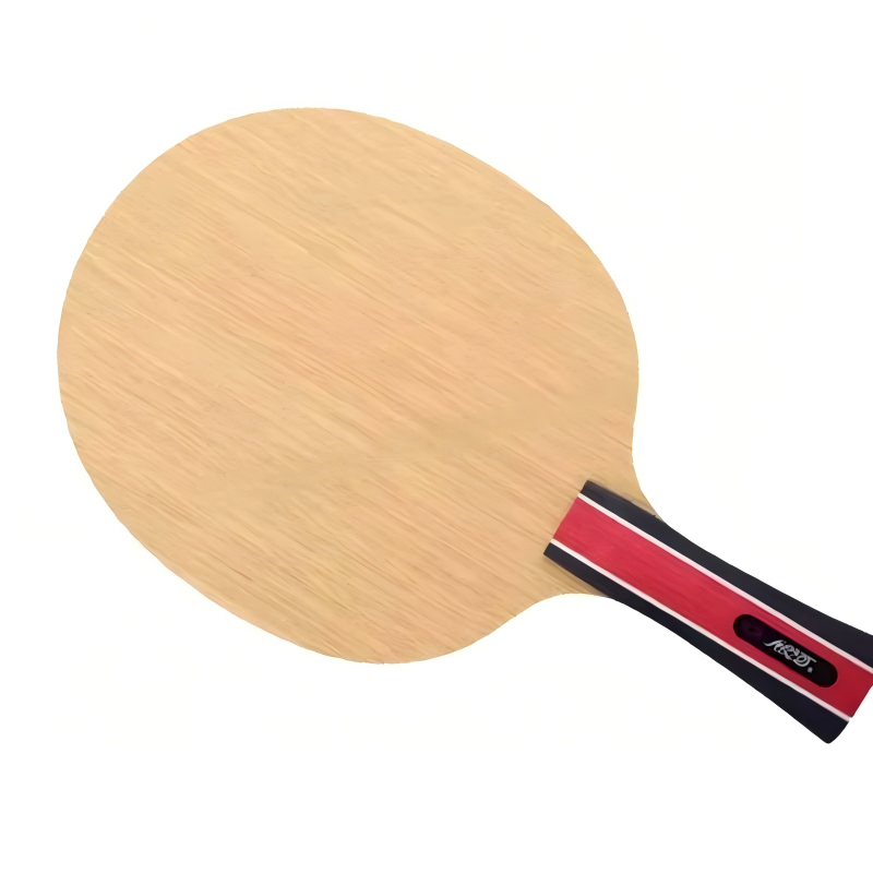 Table Tennis Forehand - Original Galaxy Yinhe Earth E-3 E3