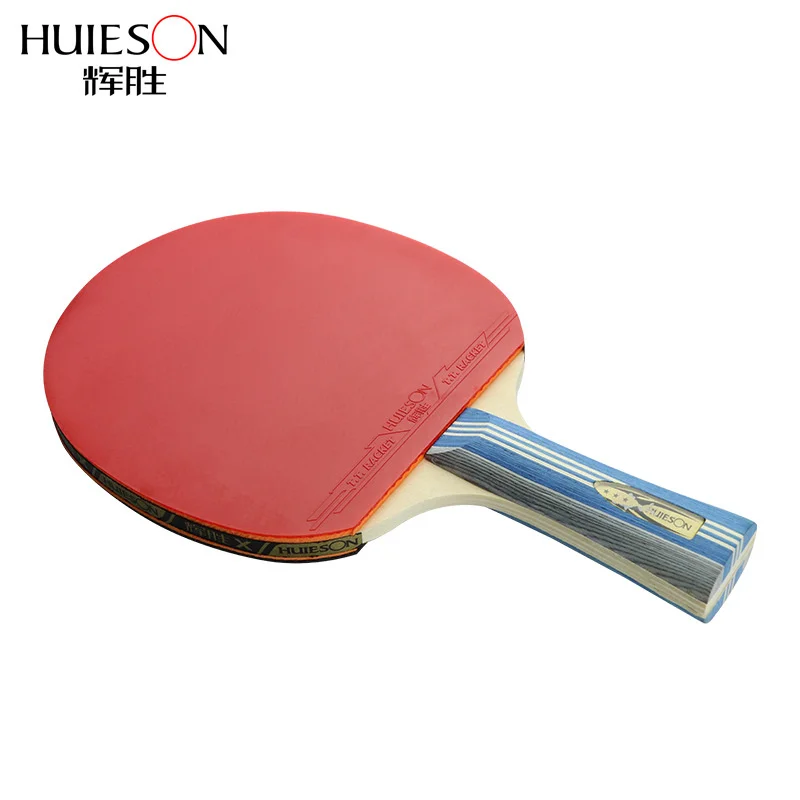 HUIESON Official Authorization - Table Tennis Or Tennis Table review and price