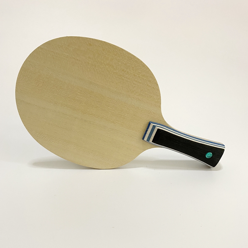 Lemuria VIS Carbon Fiber Table - Table Tennis Forehand review and price