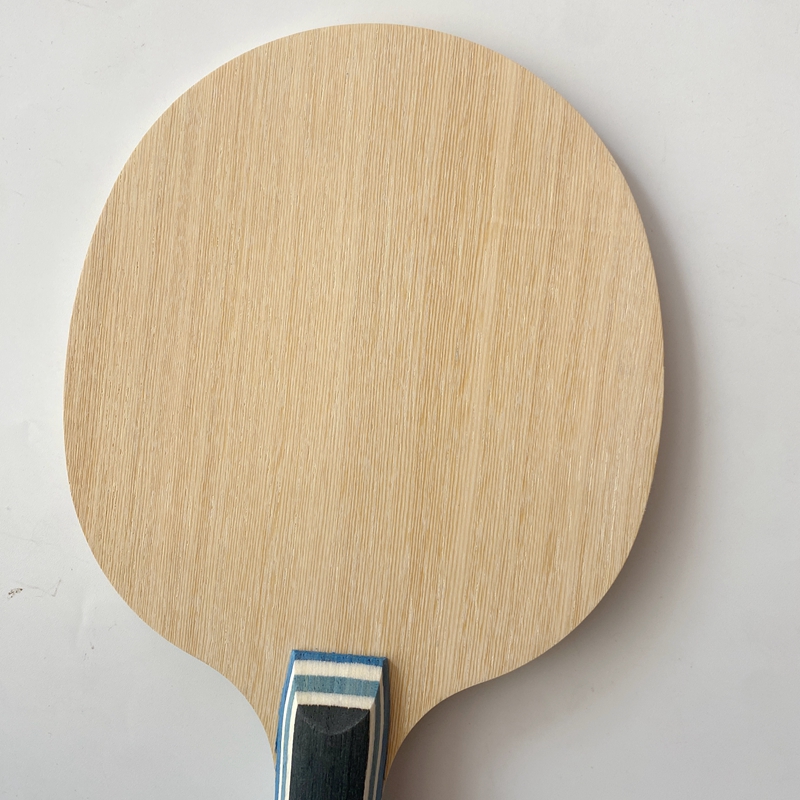 Lemuria VIS Carbon Fiber Table - Table Tennis Forehand review and price