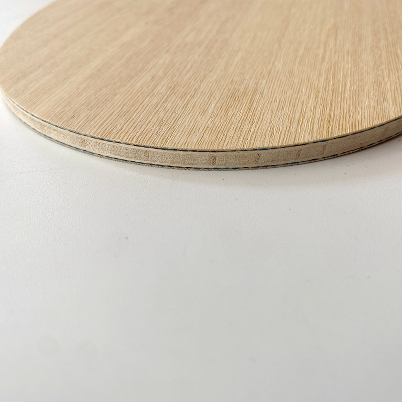 Lemuria VIS Carbon Fiber Table - Table Tennis Forehand review and price