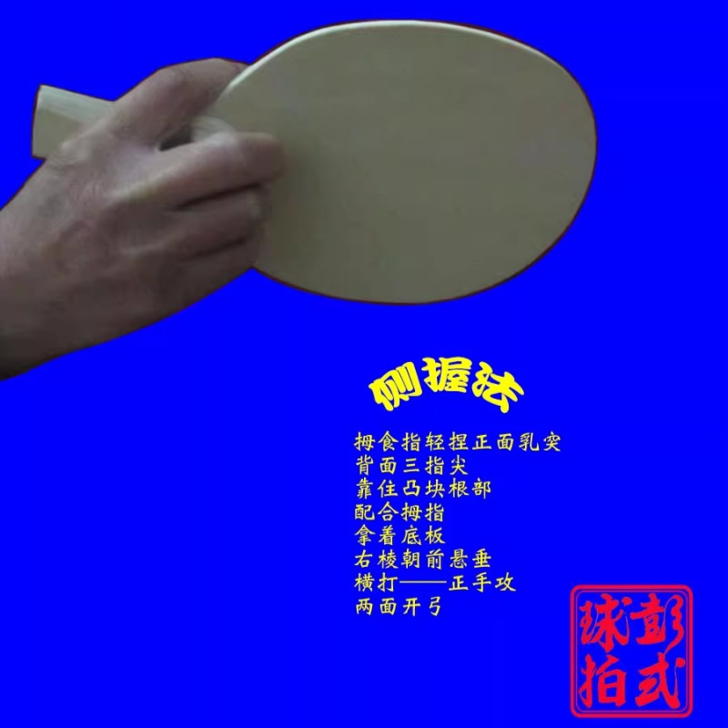 Chinese/Japanese Style Table T - Table Tennis In Japanese review and price